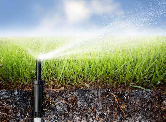 Image result for Sprinkler Repair Irrigation Repair